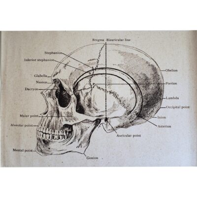 poster cerebro final 1